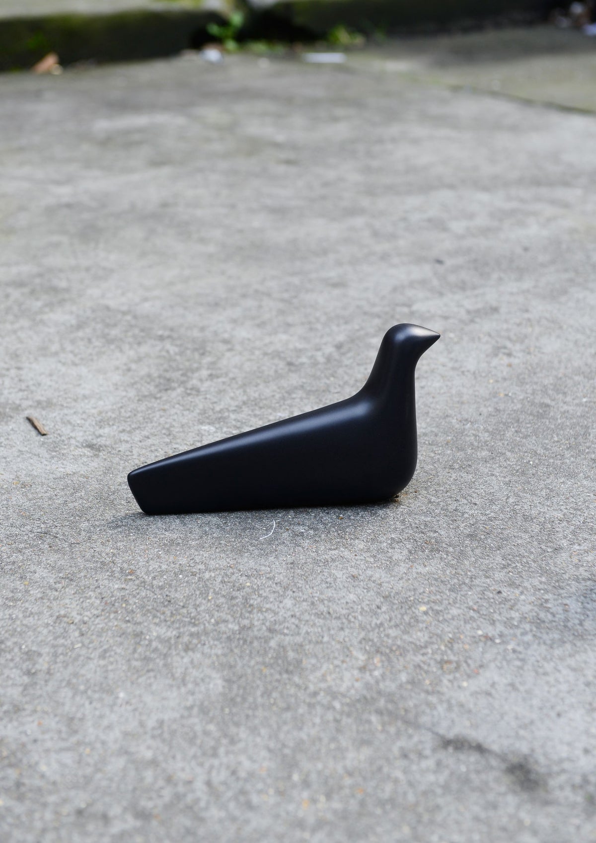 L'OISEAU CARBÓN