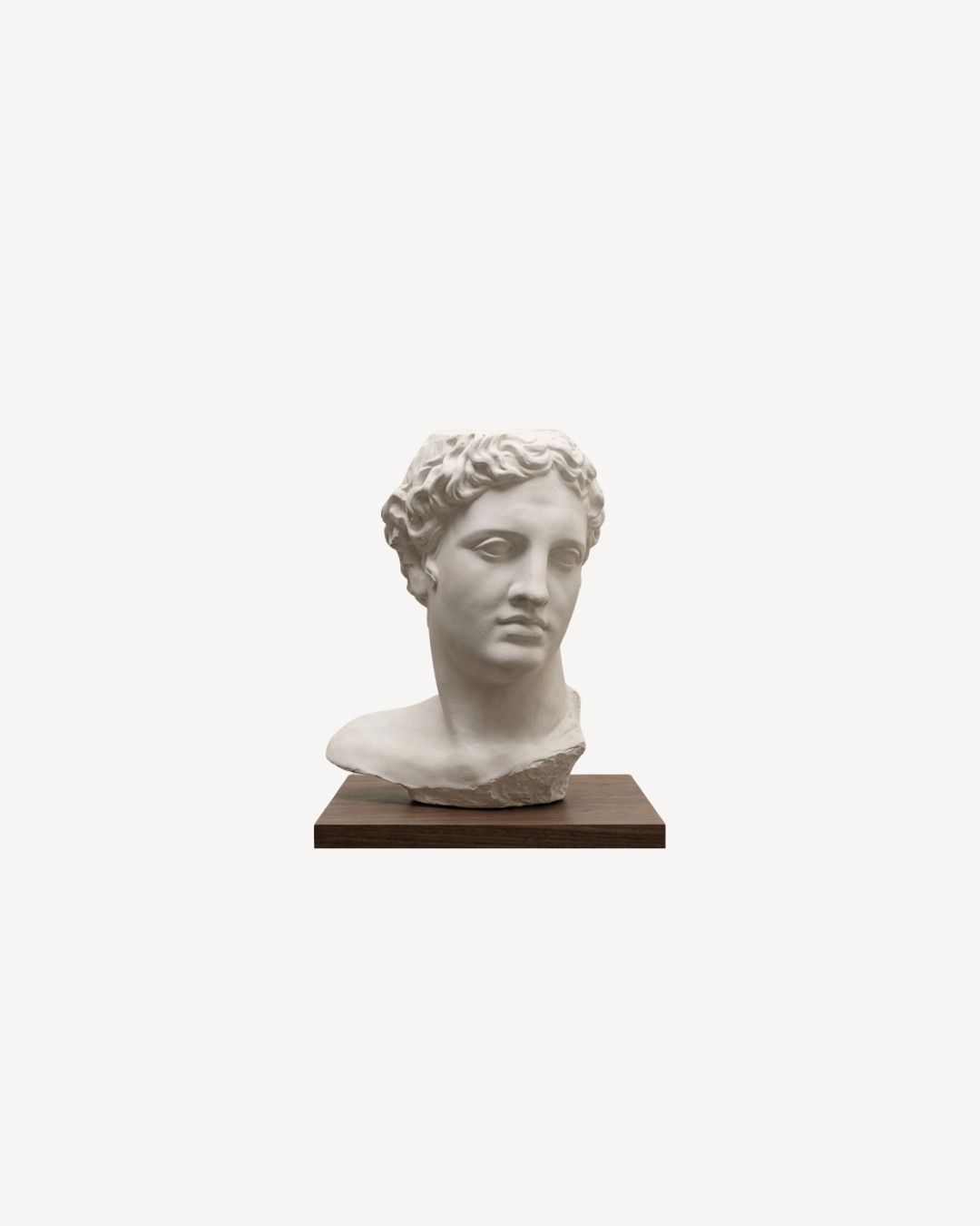 ESTATUA DE YESO CABEZA DE APOLLO