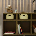 RESTORE BASKET BEIGE GREEN