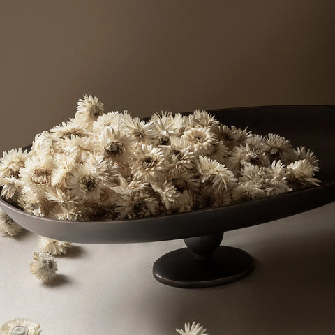PAVOT CENTERPIECE
