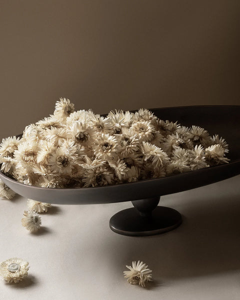 PAVOT CENTERPIECE